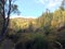 Landscape around Rogie Falls / Waterfall