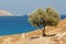 Landscape around the ruins of Feraklos castle, Rhodes island