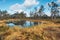 The Landscape around Viru bog, Lahemaa National Park, Estonia