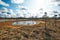 The Landscape around Viru bog, Lahemaa National Park, Estonia