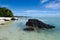 Landscape of Arutanga island in Aitutaki Lagoon Cook Islands