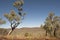 Landscape Australia in outback Pilbara