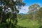 Landscape in Australian hinterland