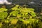 Landscape of Austrian Alps view of gerlosberg