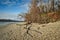 landscape of austrian Donau river beach - wild nature reserve area