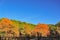 Landscape in autumn colors, forest near Seguret, France