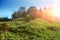 Landscape with autumn forest upon green grassland hills