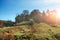 Landscape with autumn forest upon green grassland hills