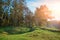 Landscape with autumn forest upon green grassland hills