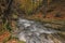 Landscape of the autumn forest and small long exposed river