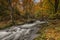 Landscape of the autumn forest and small long exposed river