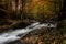 Landscape of the autumn forest and small long exposed river