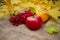 Landscape. Autumn leaves, apples and viburnum on burlap