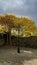 Landscape of autumn silence in Dalkey, Ireland