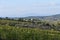 The landscape of the autumn vineyard in Tuscany