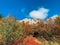 Landscape of autumn yellow red forest against the backdrop of rocks and blue sky