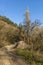 Landscape of autumnal nature with mix forest, dirt road and dry glade in Balkan mountain