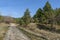 Landscape of autumnal nature with mix forest, dirt road and dry glade in Balkan mountain