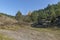 Landscape of autumnal nature with mix forest, dirt road and dry glade in Balkan mountain