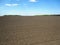 Landscape. Background field, black soil, sky and trees.