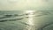 landscape of Bakkhali sea shore