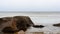 Landscape of the Baltic Sea with granite boulders