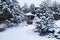 Landscape with barbeque area, snowbanks of white snow, pine trees in country garden.