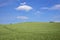 Landscape in Bavaria with a green hill on which wheat grows against a blue sky with delicate clouds