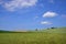 Landscape in Bavaria with a green hill on which wheat grows against a blue sky with delicate clouds