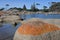 Landscape of Bay of Fires Tasmania Australia