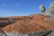 Landscape of Bay of Fires Tasmania Australia