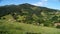 Landscape with a bay horse grazing on the verdant mountainside among villages in Basque Country, Spain