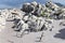 Landscape and beach in BettyÂ´s Bay with cute penguins near Cape Town, South Africa