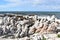 Landscape and beach in BettyÂ´s Bay with cute penguins near Cape Town, South Africa