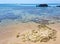 Landscape in a beach in Hammamet