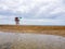 Landscape of beach and sea with lifeguard post and green vandera allowing the bath. Canary Islands, Spain