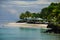 Landscape of a beach surrounded by palm trees and the sea in the Savai\'i island, Samoa