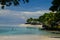 Landscape of a beach surrounded by palm trees and the sea in the Savai\'i island, Samoa