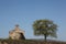 Landscape in Beaujolais