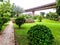 Landscape of beautiful flowers and well preserved grass under overhead bridge along international airport road Ikeja Lagos