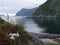 Landscape with beautiful green overgrown rocks at the fjord, beautiful sea water