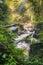 Landscape of beautiful small waterfall and stream that flows from the mountain in rainforest with sun shine. Forests with growing