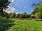 Landscape with beautiful vegetation