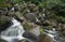 Landscape of Becky Falls waterfall in Dartmoor National Park Eng