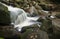 Landscape of Becky Falls waterfall in Dartmoor National Park Eng