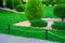 Landscape bed with evergreen thuja bushes in backyard with natural rock mulch.