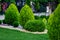 Landscape bed of a garden with evergreen bushes thuja.