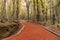 Landscape from Belgrad forest in istanbul