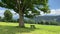 Landscape with bench in Ramsau am Dachstein, Austria.