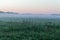 Landscape in the Bialowieza National Park in Poland at the early morning